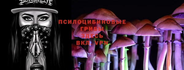 мдпв Краснослободск
