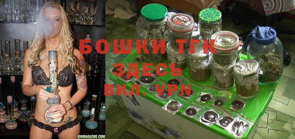 метадон Коряжма