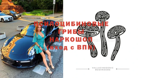 МДПВ Краснотурьинск