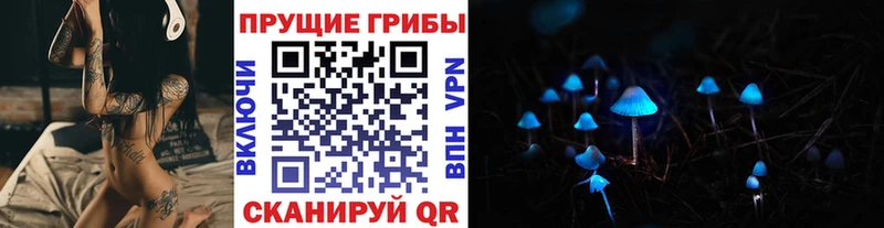 где найти наркотики  Чёрмоз  Псилоцибиновые грибы Psilocybine cubensis 